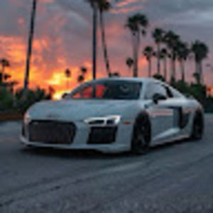 Meet your Posher, Daisy